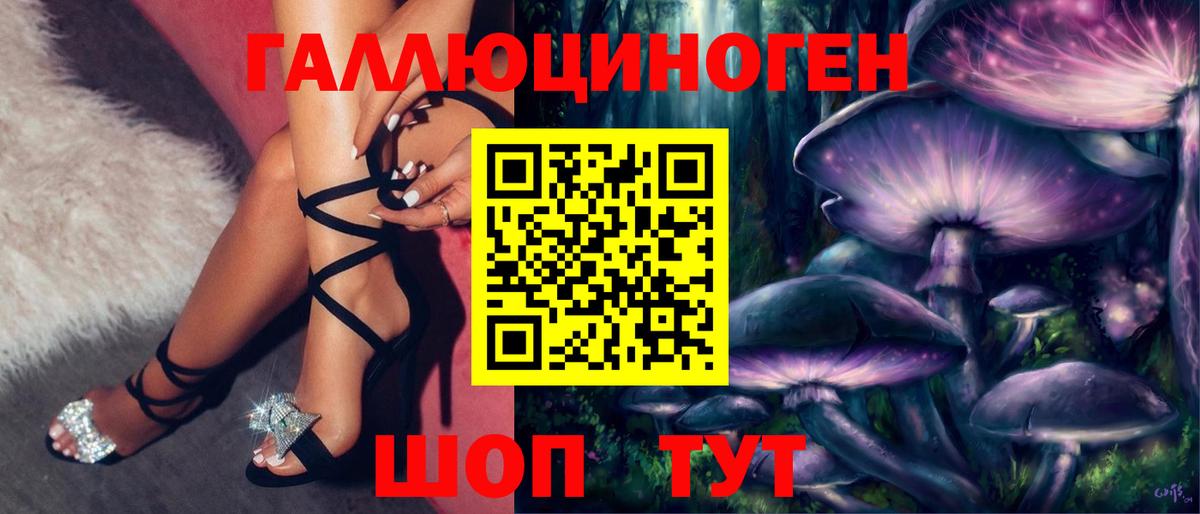 Кохма  хочу наркоту  Вход с VPN  Псилоцибиновые грибы Psilocybine cubensis 