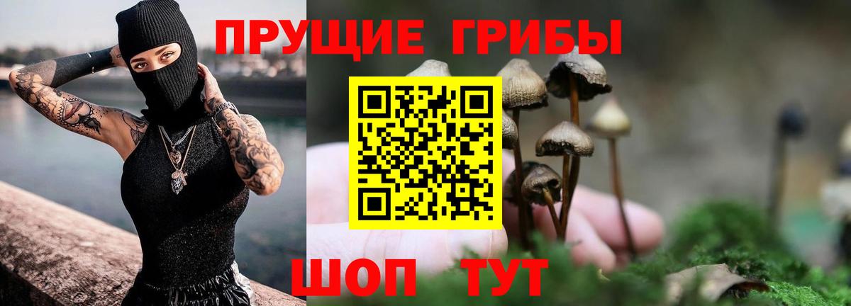 Галлюциногенные грибы прущие грибы Кохма